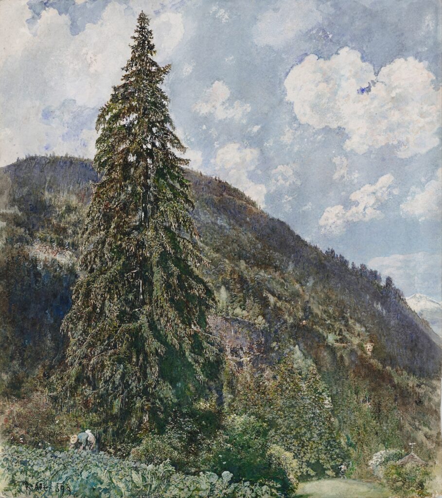 Die alte Fichte in Bad Gastein (1899)